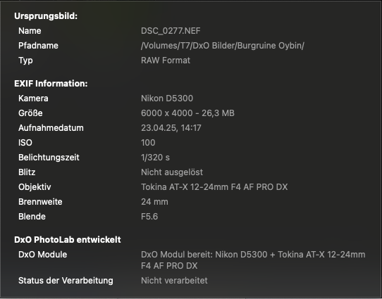 Kameradetails zum Gasthaus Burg und Kirchenruine Oybin