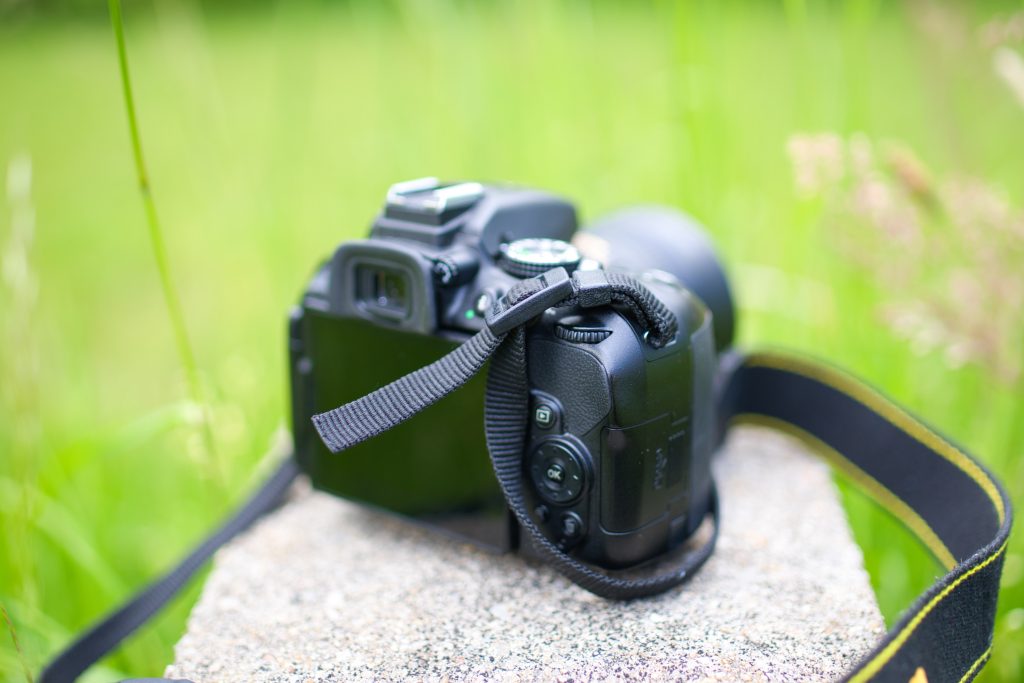 Nikon D5300 Rückseite